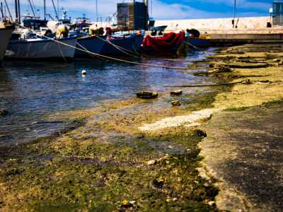 L'appetibilit� della zona era tra l'altro acuita da alcune sorgenti di acqua dolce che dall'entroterra defluivano verso il mare. Addirittura si riteneva avessero propriet� curative: il liquido che sgorgava era soprannominato "acqua di Cristo". Peccato siano state cementate dal moderno lungomare